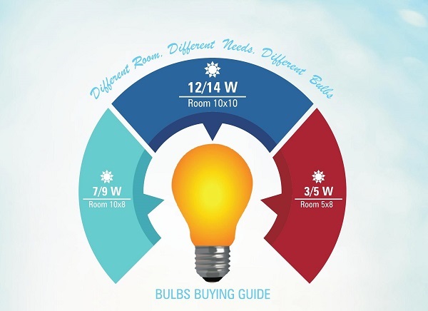 Bulbs bying guide